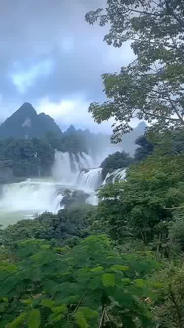 劲舞团
